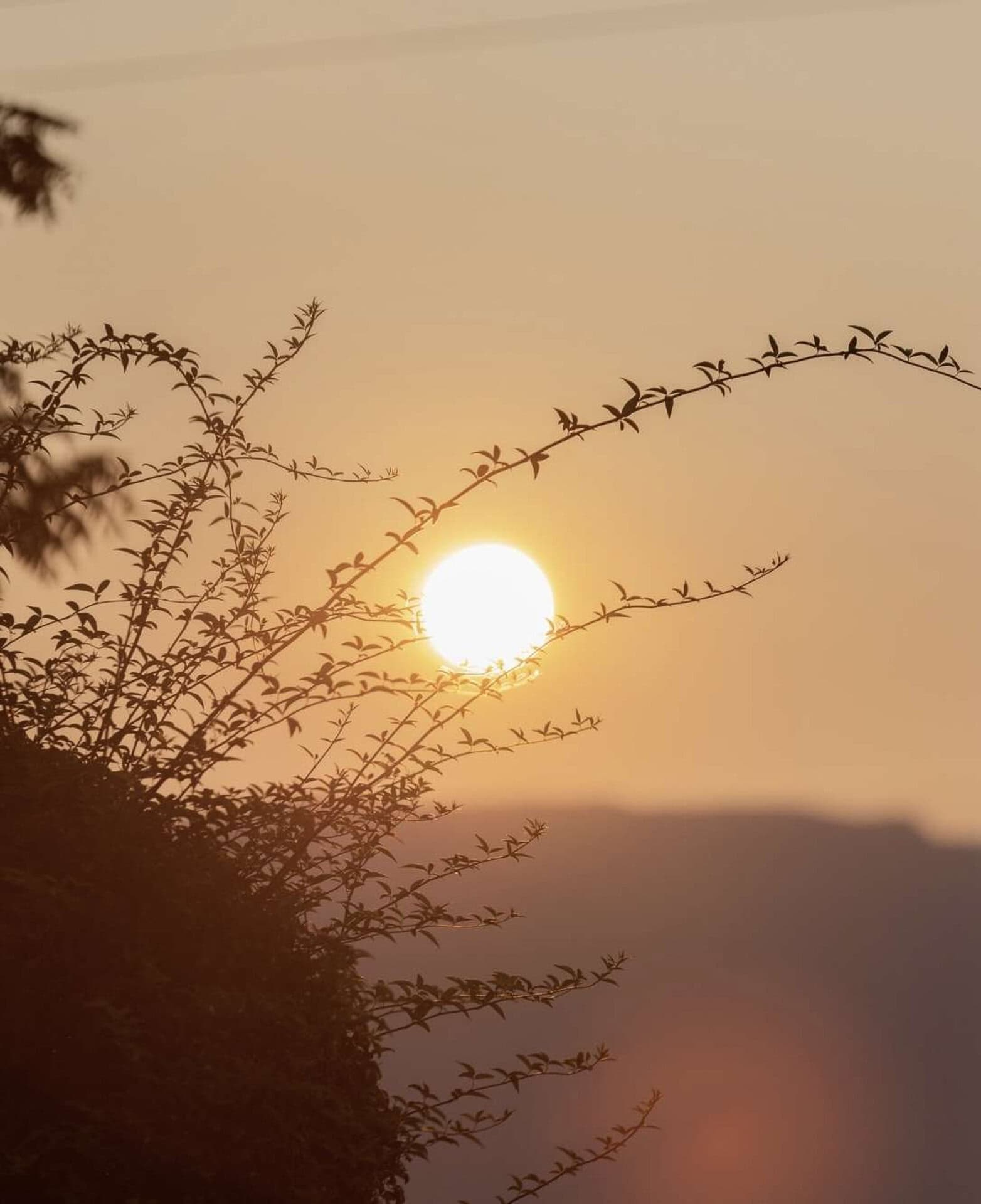 Drug and alcohol rehab in Mission Viejo CA