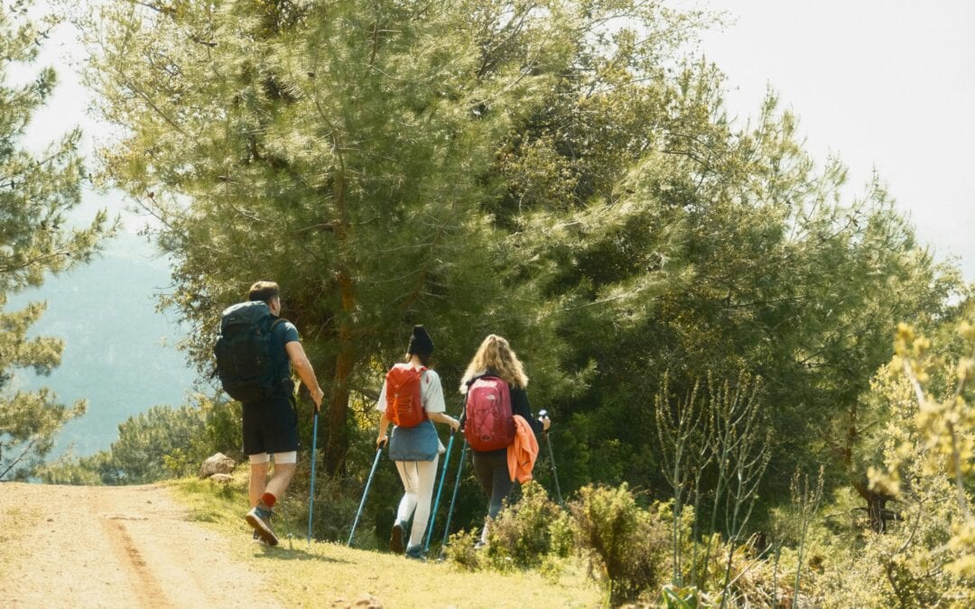 How Does Adventure Therapy Build Lasting Resilience Against Addiction?